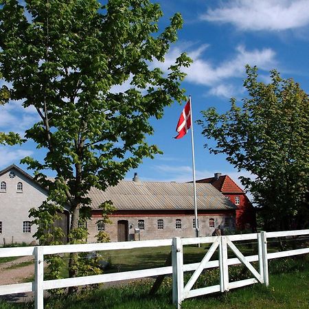 Nordkap Farm Holiday & Hostel Bindslev Dış mekan fotoğraf