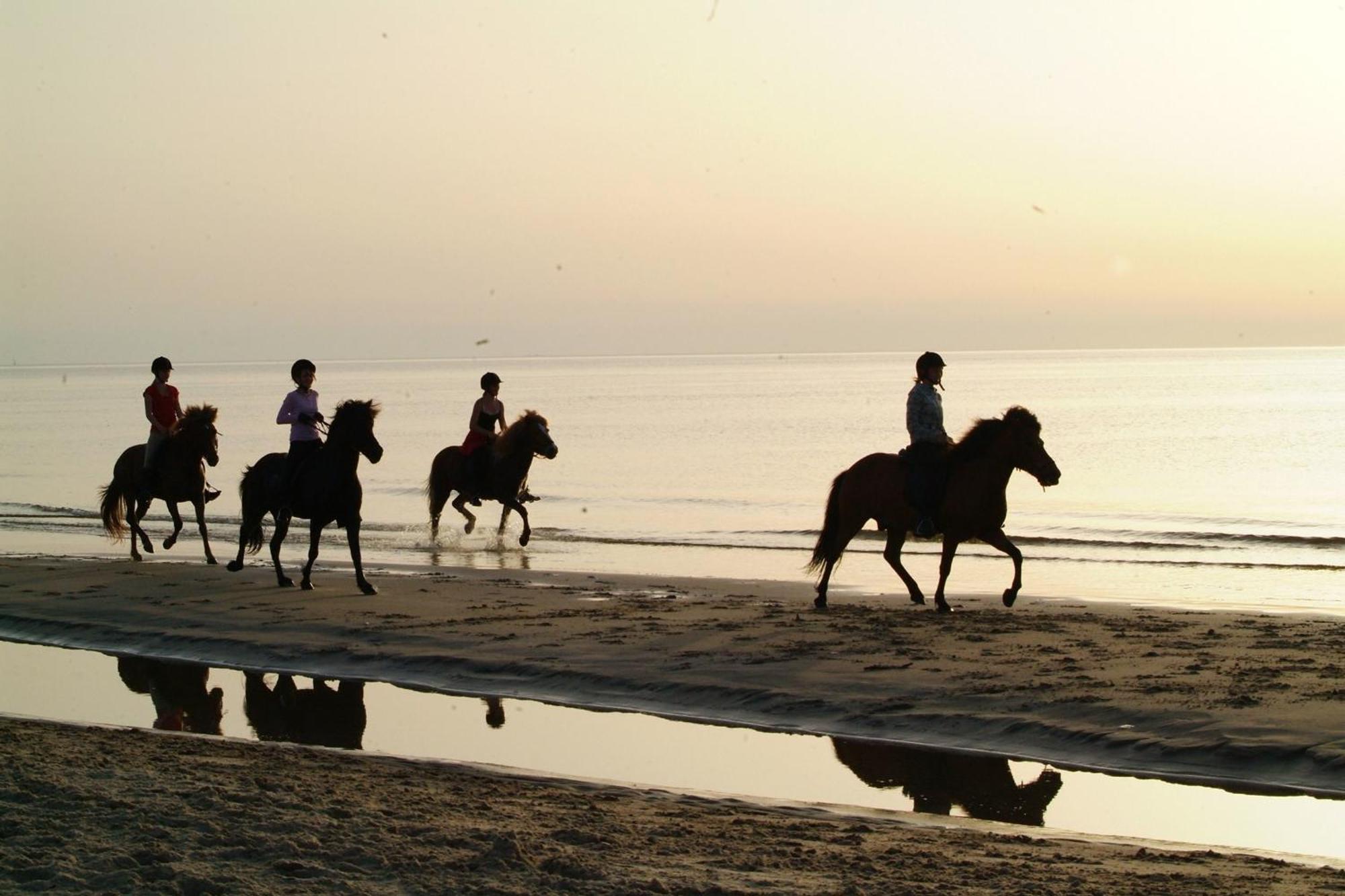 Nordkap Farm Holiday & Hostel Bindslev Dış mekan fotoğraf