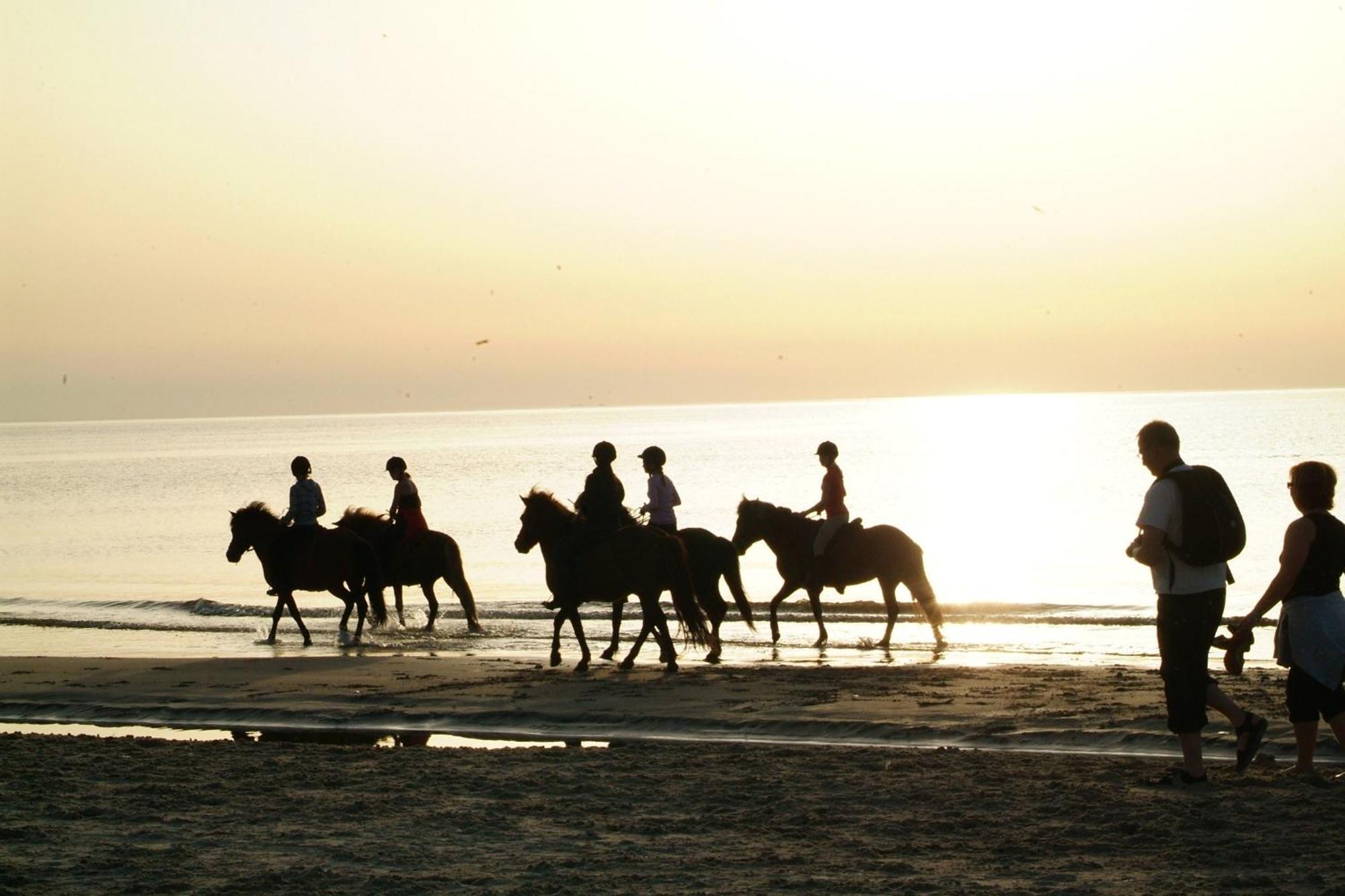 Nordkap Farm Holiday & Hostel Bindslev Dış mekan fotoğraf