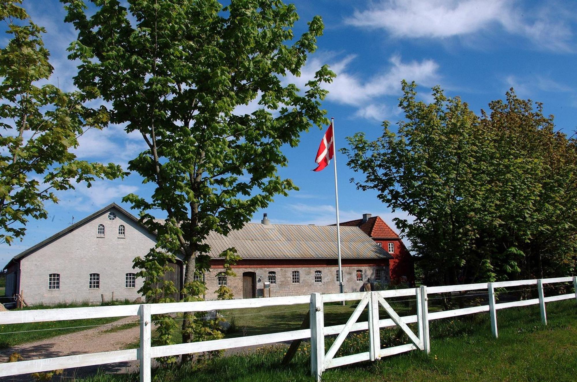 Nordkap Farm Holiday & Hostel Bindslev Dış mekan fotoğraf